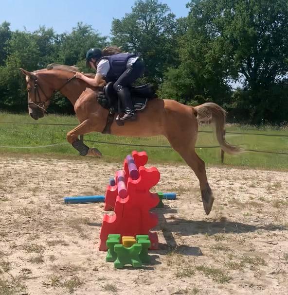 Ponette D 4 jaar, Dieren en Toebehoren, Pony's, Merrie, Zadelmak, D pony (1.37m tot 1.48m), 3 tot 6 jaar, Met stamboom, Gechipt