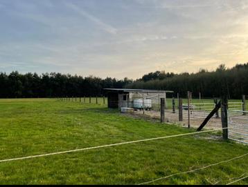 Paardenweide te huur Oudsbergen