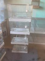 Colonne des 4 cages de 40, Autres matériaux, Utilisé, Cage à oiseaux