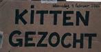 Jong katje, kitten gezocht., Dieren en Toebehoren, Ophalen, Nieuw