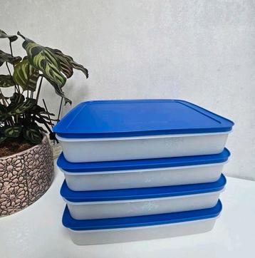 Boîtes à igloos Tupperware, Enlèvement ou Envoi, Neuf
