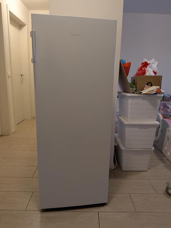 Diepvries – aangekocht in augustus 2024, Elektronische apparatuur, Vriezers en Diepvrieskisten, Gebruikt, Vrijstaand, Vrieskast