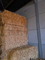 Stro te koop, Dieren en Toebehoren, Paarden