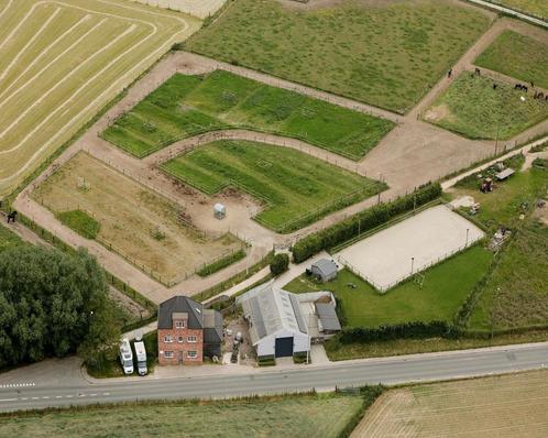 Padock paridise, Dieren en Toebehoren, Stalling en Weidegang