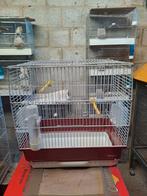 Cage canaris, Enlèvement