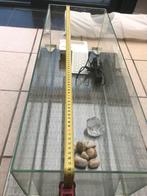 Aquarium/terrarium 80x30 x25 H, Dieren en Toebehoren, Reptielen en Amfibieën | Toebehoren, Ophalen, Zo goed als nieuw