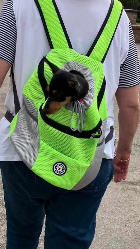 Honden rugzak, Dieren en Toebehoren, Honden-accessoires, Zo goed als nieuw, Ophalen