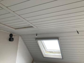 Lampen (voor kotstudent of anderen) beschikbaar voor biedingen