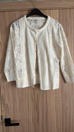 Ermanno scervino gilet 44 (it maat) nieuw, Ophalen of Verzenden, Zo goed als nieuw