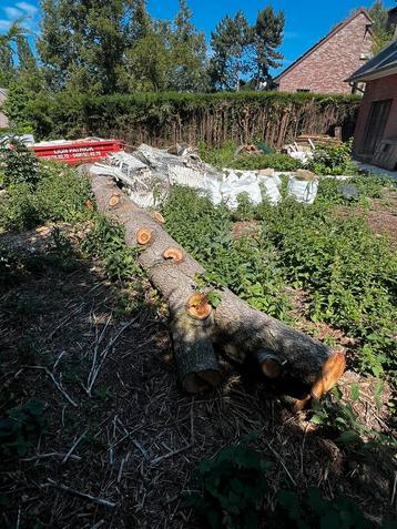Stammen 4 meter - cederhout, Enlèvement, Troncs d'arbres