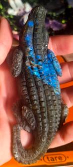 Krokodil in labradoriet, Verzamelen, Ophalen of Verzenden