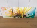 Kleurrijke 3 delige foto van bloem met lieveheersbeestje, Foto of Poster, Zo goed als nieuw, 50 tot 75 cm, 50 tot 75 cm