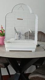 Vogel kooi te koop, Dieren en Toebehoren, Vogels | Hokken en Kooien, Ophalen, Zo goed als nieuw, Metaal, Vogelkooi