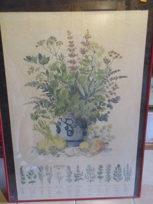 Poster représentant des herbes. Oeuvre de Mads Stage., Maison & Meubles, Accessoires pour la Maison | Peintures, Dessins & Photos