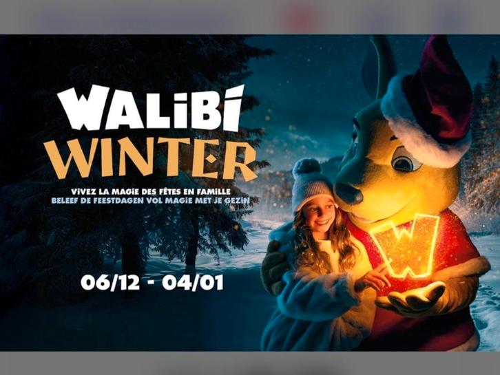 REVENTE 2, 4, 6, 8, 10 et plus place à Walibi Winter, Tickets & Billets, Loisirs | Parcs d'attractions, Deux personnes, Ticket ou Carte d'accès