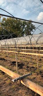 Serre multitunnel plastiek, Ophalen