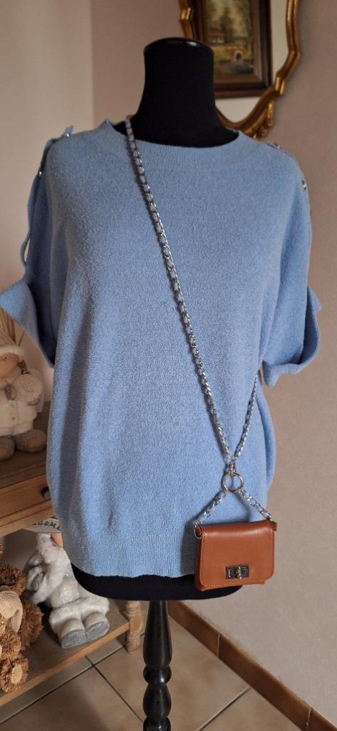 Caroline Biss prachtig truitje maat 42 - nieuw, Kleding | Dames, Truien en Vesten, Nieuw, Maat 42/44 (L), Blauw, Verzenden