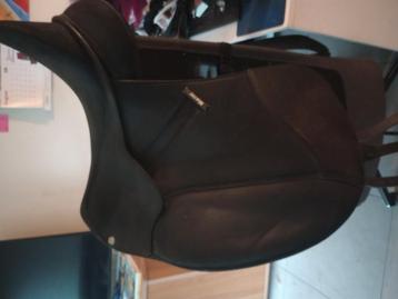 Wintec Isabell Werth beschikbaar voor biedingen