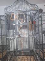 Cage à vendre, Animaux & Accessoires, Enlèvement, Utilisé, Autres matériaux, Cage à oiseaux