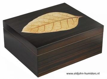 h152 ADORINI HUMIDOR VERONA DELUX 75 SIGAREN sigarenkist	