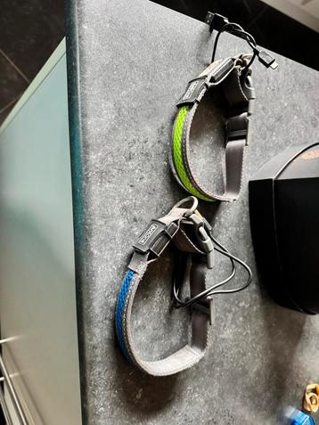 Lichtgevende hondenhalsband beschikbaar voor biedingen