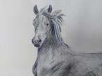 Tekening Morgan paard in houten kader 59x79, 75 à 100 cm, Enlèvement, Dessin, Création originale