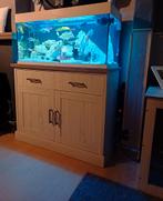 Juwel rio 180 met cichliden, Ophalen, Zo goed als nieuw