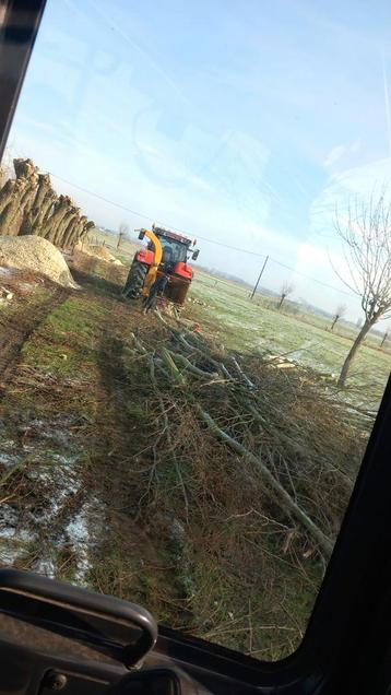 Snoeien van bomen disponible aux enchères