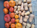 pompoenen en butternuts, Ophalen