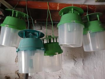 Buxusmotten vallen beschikbaar voor biedingen