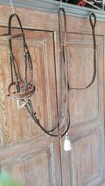 ensemble bridon et martingale, Animaux & Accessoires, Enlèvement ou Envoi, Neuf, Autres espèces