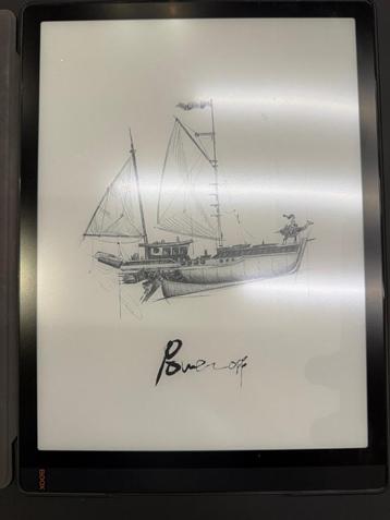 Boox Tab X (Premium e-ink tablet) beschikbaar voor biedingen