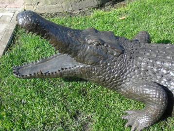 crocodile en bronze , jet d eau , long 2 M !!!, Enlèvement, Neuf, Autres matériaux, Fontaine