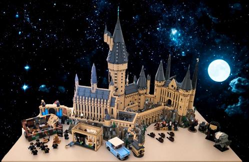 Kasteel Zweinstein, Verzamelen, Harry Potter, Gebruikt, Overige typen, Ophalen