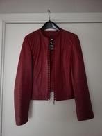 Veste courte cuir rouge foncé  T. 36, Ophalen of Verzenden, Gedragen, Maat 36 (S), Rood