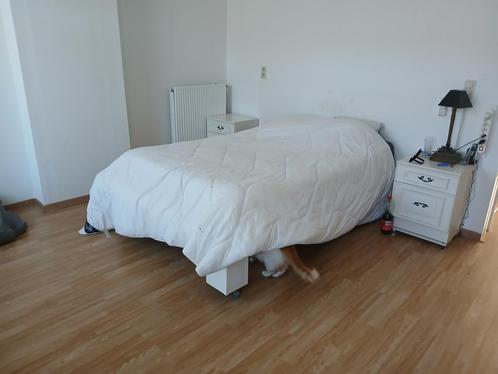 Room for rent. No official address possible!, Immo, Appartementen en Studio's te huur, Antwerpen (stad), 20 tot 35 m²