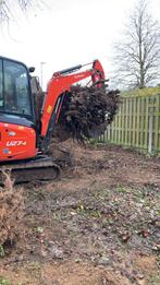 Excavation de souches et de plantes, Enlèvement