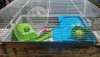 Cage pour hamster, Ophalen, Gebruikt, Kooi, Hamster