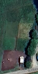 Weide, Dieren en Toebehoren, Stalling en Weidegang, Weidegang, 2 of 3 paarden of pony's