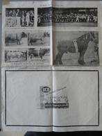 poster pagina 1938 Le Sillon Belge wedstrijden boerenpaarden, Boeken, Tijdschriften en Kranten, Verzenden, Zo goed als nieuw, Sport en Vrije tijd