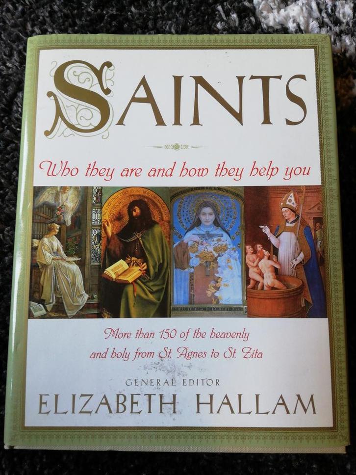 Saints - Elizabeth Hallam, Livres, Religion & Théologie, Comme neuf, Enlèvement ou Envoi