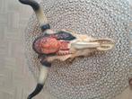 Mooie grote apparte Bull skull met indianen hoofd., Huis en Inrichting, Ophalen