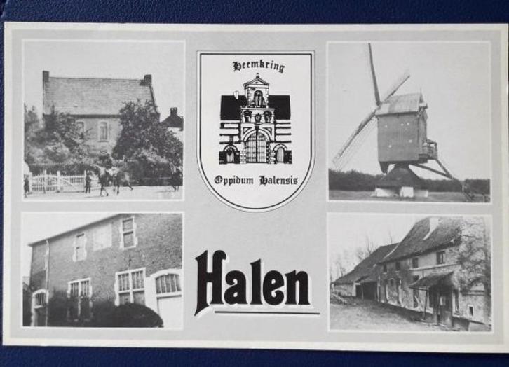 postkaart Halen, Verzamelen, Postkaarten | België, Ongelopen, Limburg, Ophalen of Verzenden