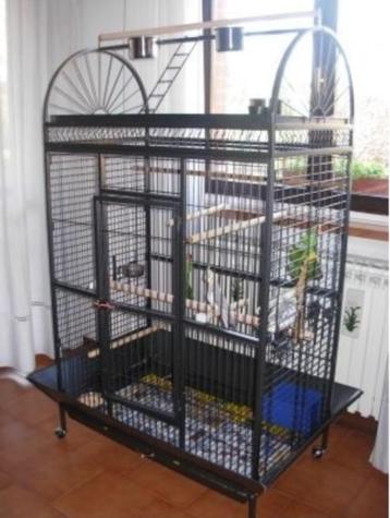 Cage perroquet XXL ARA cage cacatoes cage amazone gris gabon