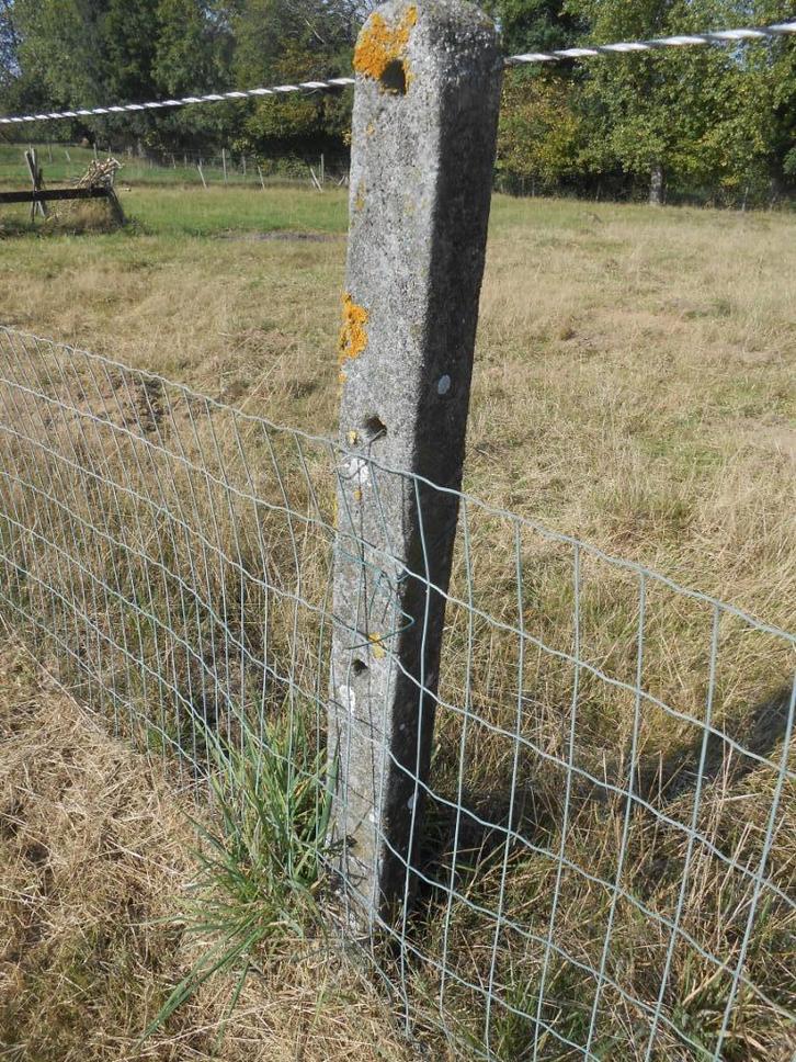 weidepalen, Dieren en Toebehoren, Stalling en Weidegang