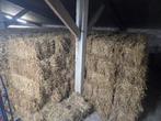 kleine balen stro en ook hooi, Zakelijke goederen, Landbouw | Veevoer, Ophalen