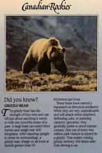 GRIZZLY  BEER   + Mooie postzegel !, Verzamelen, Postkaarten | Dieren, Verzenden, 1980 tot heden, Gelopen, Wild dier