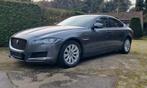 Jaguar xf, Automaat, 4 deurs, Bedrijf, Zilver of Grijs