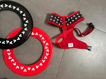 1 hondenharnas van Disney + 2 frisbees beschikbaar voor biedingen