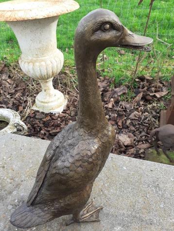 Superbe canard en bronze